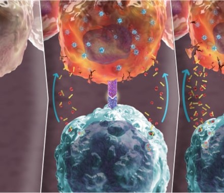 A 3-panel Mechanism Of Action 3D Illustration for Oncolytics Biotech that shows how their novel Pelareorep anti-cancer therapy impacts cancer cells by itself and with a checkpoint inhibitor.