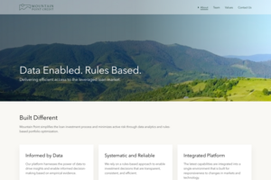 Mountain Point Credit Management LLC